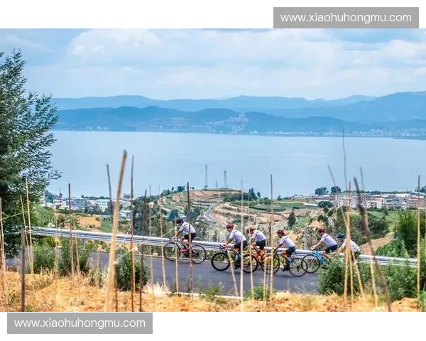 围绕环法赛程表解读赛事亮点与关键路段全景指南与观赛策略全面化